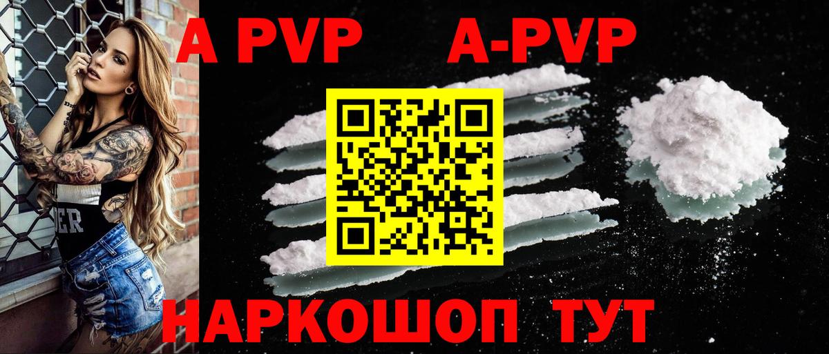 Альфа ПВП Великий Устюг