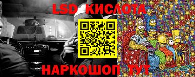 СК Волгодонск